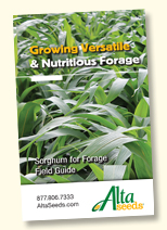 Alta Seeds Resources